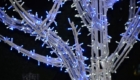 dsc_9597
