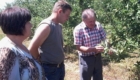 Grinauti_3