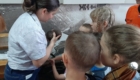 IMG-39b7ce45a79cea63bdb2b236c71fbdd8-V