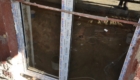 DSC_5742