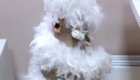 20191224_140633