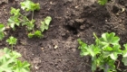 Sobitie-1.2-05.05.2020