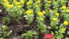 Sobitie-1.3-05.05.2020