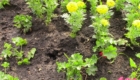 Sobitie-1.4-05.05.2020