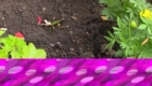 Sobitie-1.5-05.05.2020