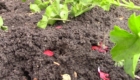 Sobitie-1.6-05.05.2020