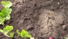 Sobitie-1.7-05.05.2020
