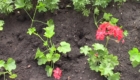 Sobitie-1.8-05.05.2020