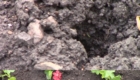 Sobitie-1.9-05.05.2020
