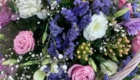 img-1.11-din-07.07.2022