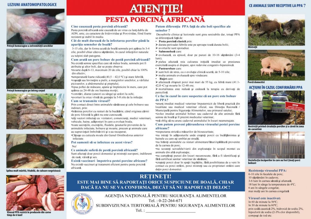 img-2.2-din-03.08.2022