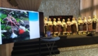 img-5.4-din-16.02.2023