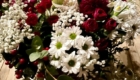 img-1.41-din-04.05.2023
