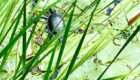 img-4.4-din-15.07.2023