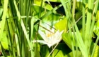 img-4.5-din-15.07.2023