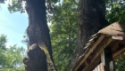 img-5.7-din-13.07.2023