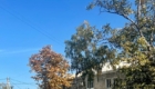 img-1.16-din-26.10.2023