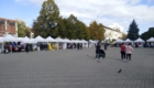 img-6.2-din-18.10.2023