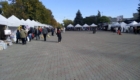 img-6.6-din-18.10.2023