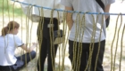 ART_4565