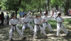 ART_4839