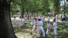 ART_4851