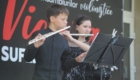 ART_5049