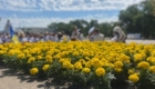 img-1.36-din-02.06.2024