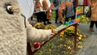 img-9.8-din-14.11.2024