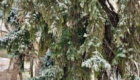 img-1.10-din-05.02.2025