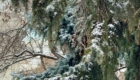 img-1.12-din-05.02.2025