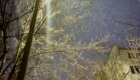 img-1.13-din-05.02.2025