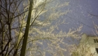 img-1.9-din-05.02.2025