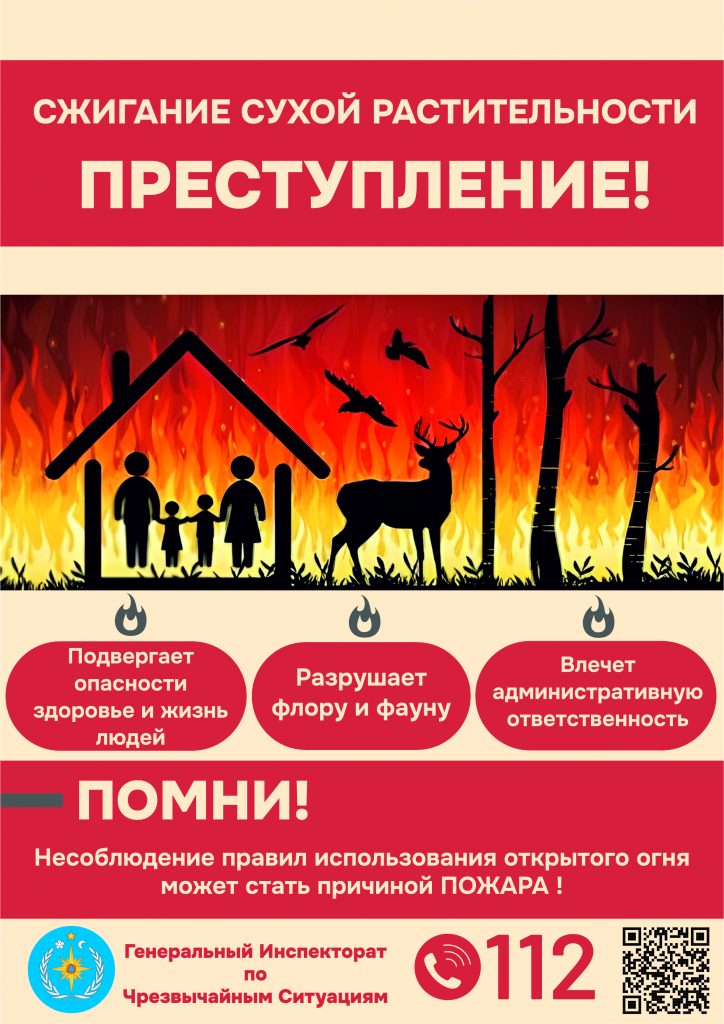 img-2.2-din-21.03.2025-ru