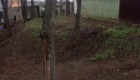 img-8.10-din-01.04.2025