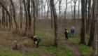 img-8.3-din-01.04.2025