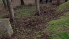img-8.6-din-01.04.2025