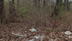img-8.7-din-01.04.2025
