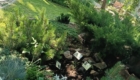 img-1.2-din-19.06.2025
