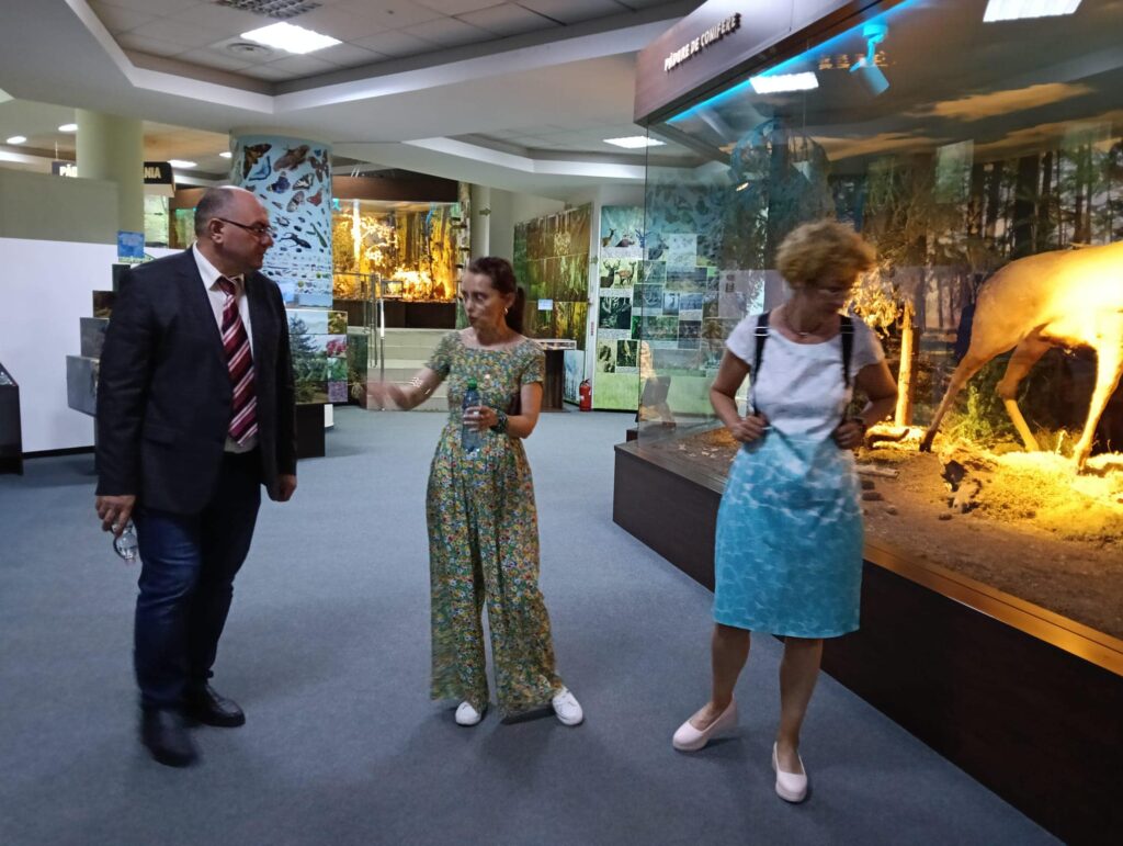 img-1.7-din-19.06.2025