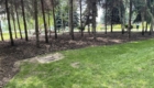 img-4.1-din-20.06.2025