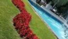img-4.12-din-20.06.2025