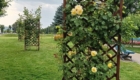 img-4.5-din-20.06.2025