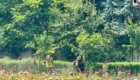 img-6.1-din-25.06.2025