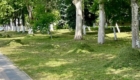 img-6.10-din-25.06.2025