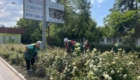 img-6.13-din-25.06.2025