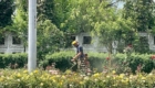 img-6.2-din-25.06.2025