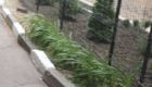 img-7.5-din-30.06.2025