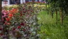 IMG_6192