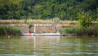 IMG-20250712-WA0005